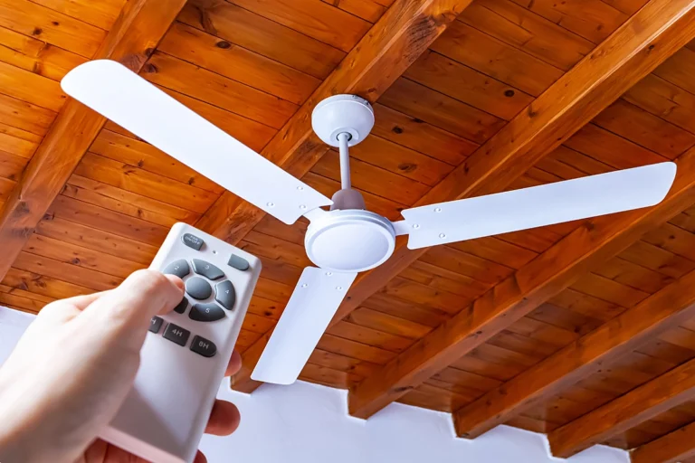 Ceiling Fan Direction: The Right Setting for Every Season